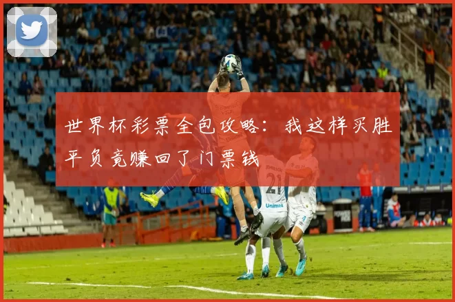 世界杯彩票全包攻略：我这样买胜平负竟赚回了门票钱