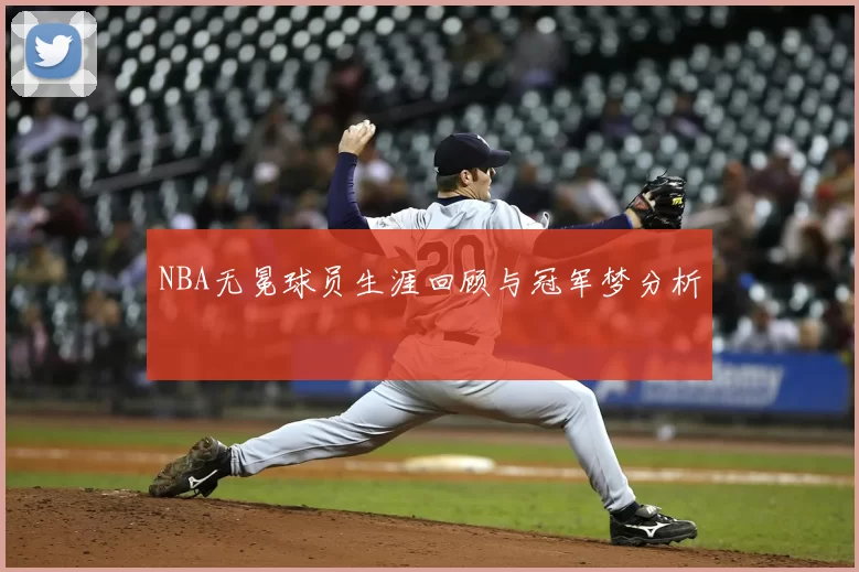 NBA无冕球员生涯回顾与冠军梦分析