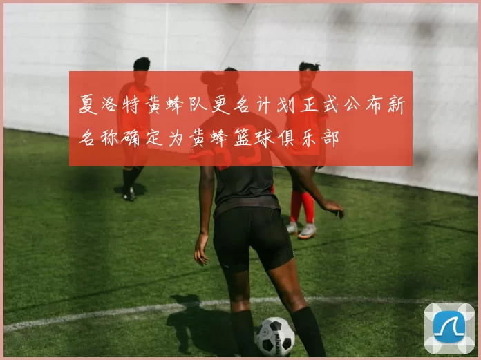 夏洛特黄蜂队更名计划正式公布新名称确定为黄蜂篮球俱乐部