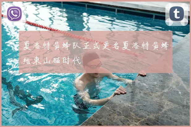 夏洛特黄蜂队正式更名夏洛特黄蜂结束山猫时代