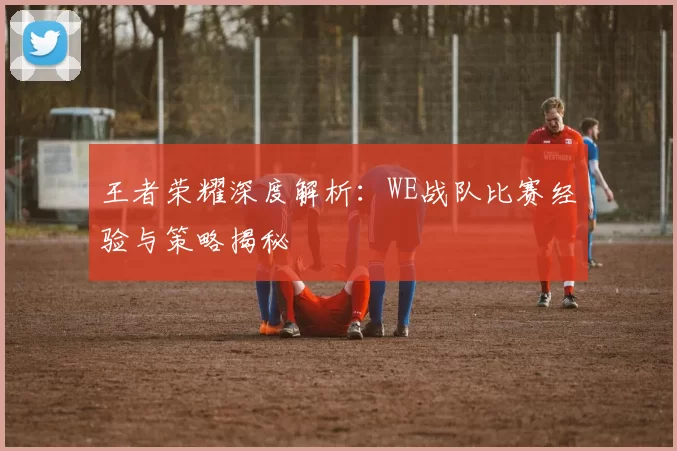 王者荣耀深度解析:WE战队比赛经验与策略揭秘