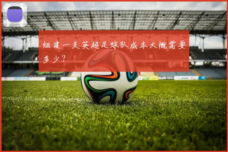 组建一支英超足球队成本大概需要多少？
