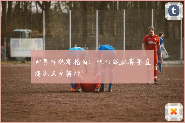 世界杯观赛指南：咪咕版权赛事直播亮点全解析