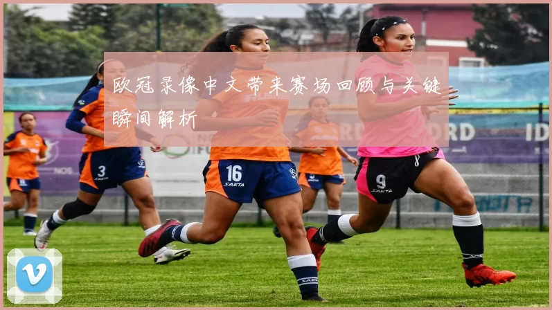 欧冠录像中文带来赛场回顾与关键瞬间解析