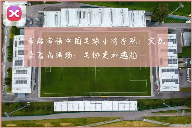 董路率领中国足球小将夺冠，宋凯含蓄式捧场，足协更加尴尬