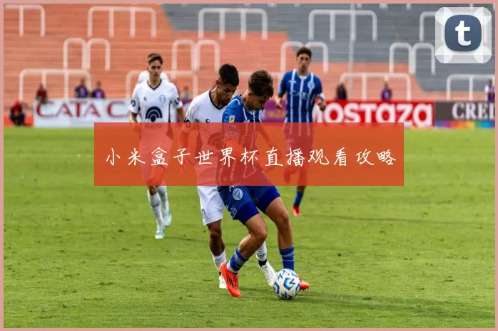 小米盒子世界杯直播观看攻略