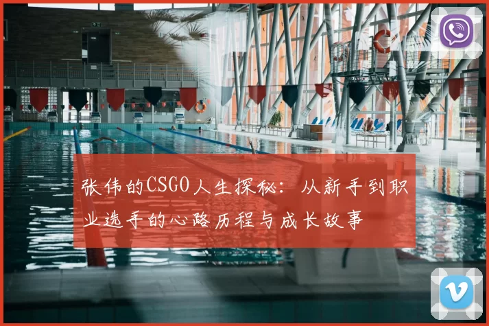 张伟的CSGO人生探秘：从新手到职业选手的心路历程与成长故事