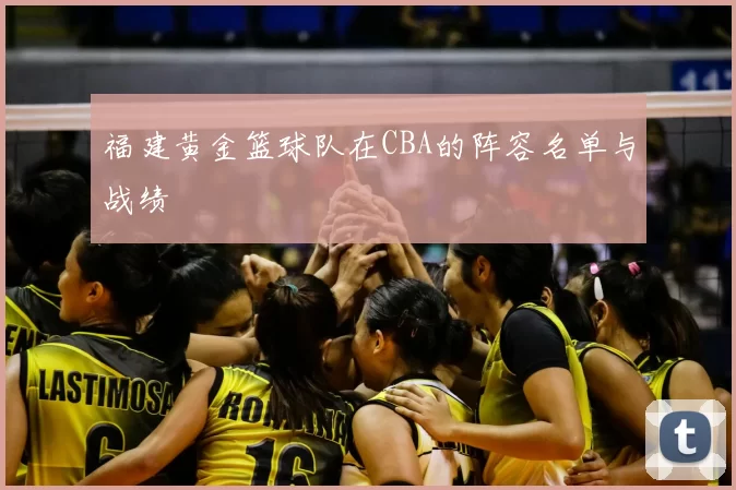 福建黄金篮球队在CBA的阵容名单与战绩