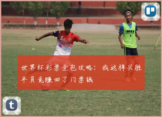 世界杯彩票全包攻略：我这样买胜平负竟赚回了门票钱