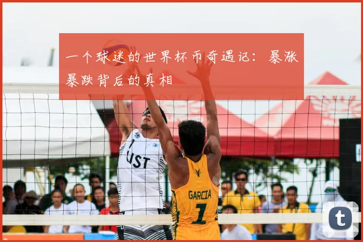 一个球迷的世界杯币奇遇记:暴涨暴跌背后的真相