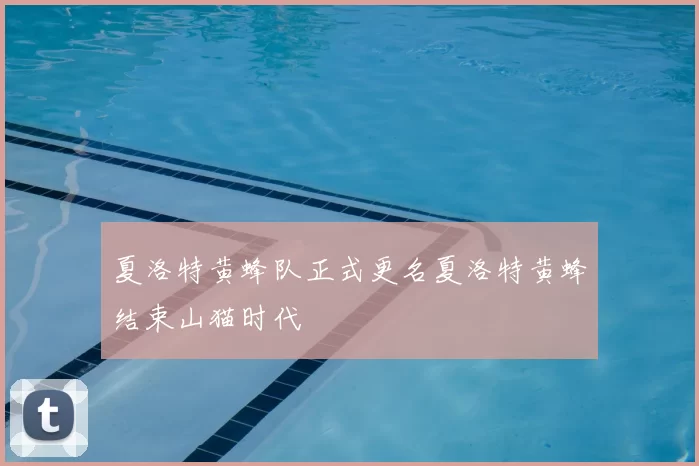夏洛特黄蜂队正式更名夏洛特黄蜂结束山猫时代