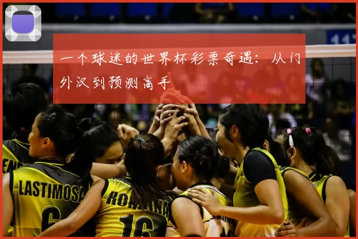 一个球迷的世界杯彩票奇遇：从门外汉到预测高手